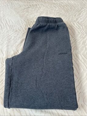Aritzia Sweatfleece Mega Fit Wide Leg Pants in Charcoal Size M
